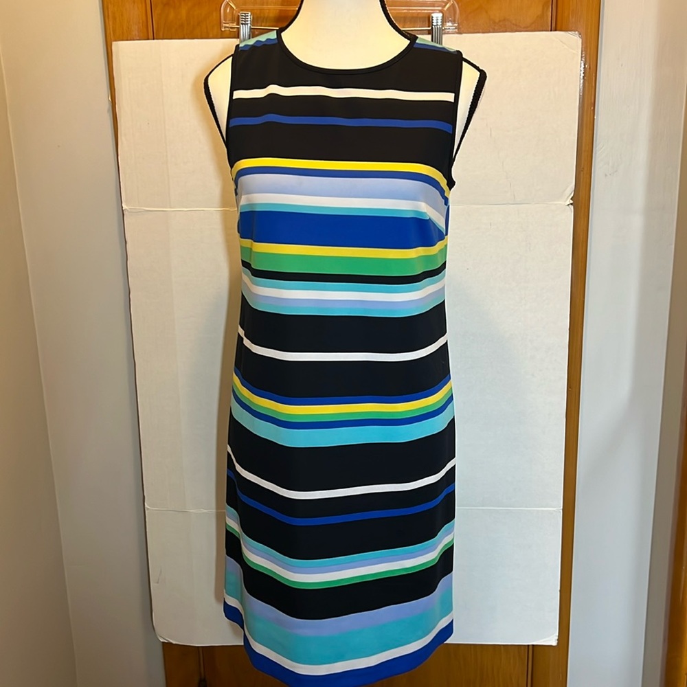 Maggy London Sleeveless Striped Shift Dress 4 Blue